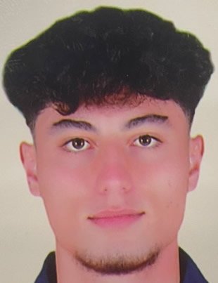 Metin Emre Karaal