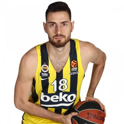 Egehan Arna