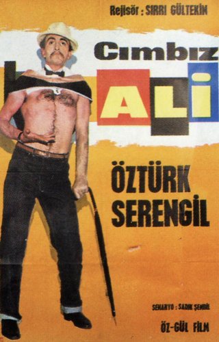 Öztürk Serengil