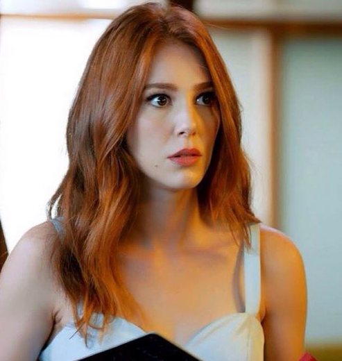 Elçin Sangu