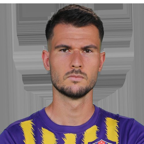 Robin Yalçın