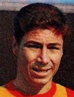 Nevzat Güzelırmak