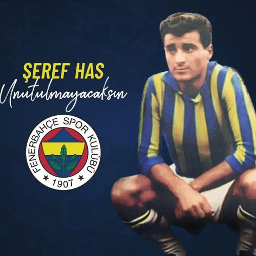 Şeref Has