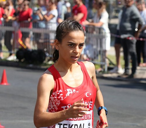 Ayşe Tekdal