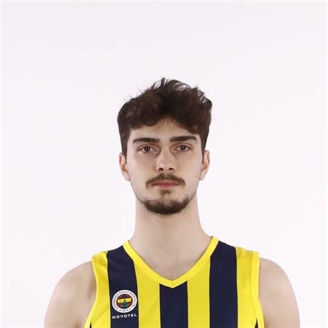 Yiğit Hamza Mestoğlu