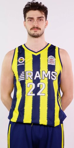 Yiğit Hamza Mestoğlu