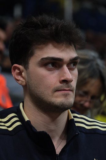 Yiğit Hamza Mestoğlu