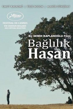 Commitment Hasan (Bağlılık Hasan)