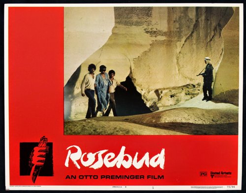 Pupoljak ruže (Rosebud)