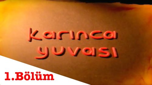 The Ant Nest (Karınca Yuvası)
