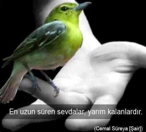 Quelqu'un dans le noir – 1998 (Karanlıkta Biri Var)