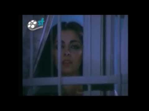 Kanun Kanundur