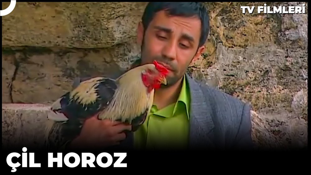 Speckled Rooster (Çil Horoz)