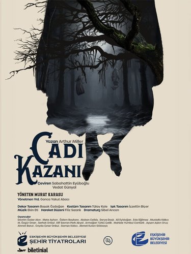 Котёл ведьмы (Cadı Kazanı)