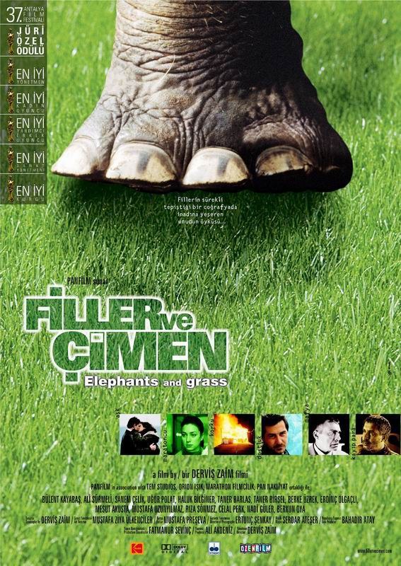 Elephants and Grass (Filler ve Çimen)