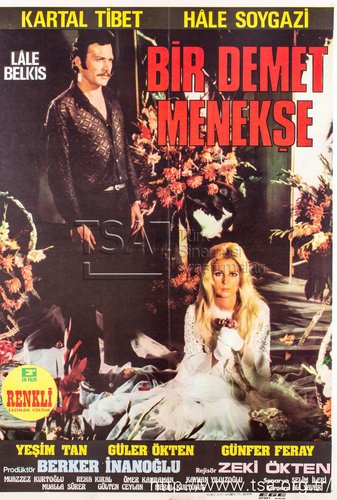 Bir Demet Menekşe
