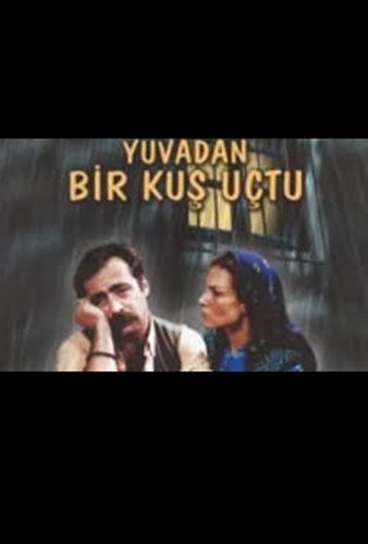 A Bird Flew from the Nest (Yuvadan Kuş Uçtu)