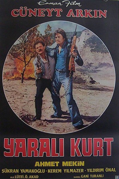 Yaralı Kurt