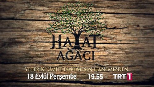 Tree of Life (Hayat Ağacı)