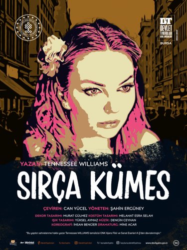 Der gläserne Käfig (Sırça Kümes)