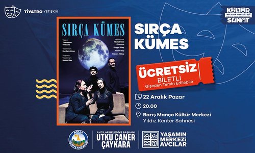 Der gläserne Käfig (Sırça Kümes)