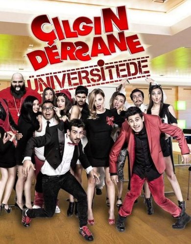 L'école folle à l'université (Çılgın Dersane Üniversitede)