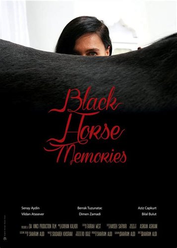 Black Horse Memories