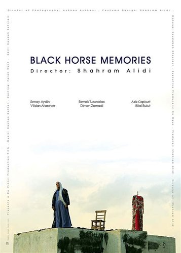 Black Horse Memories