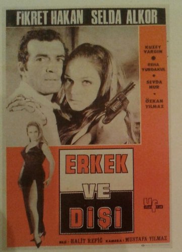 Erkek Ve Dişi