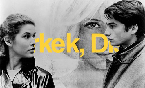 Erkek Ve Dişi