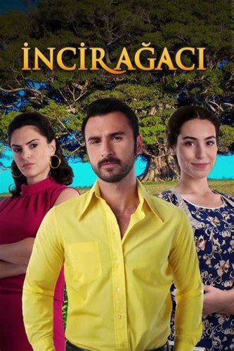 İncir Ağacı