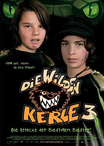 Die Wilden Kerle 3