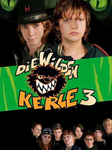 Die Wilden Kerle 3