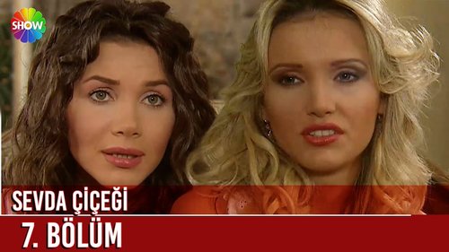 Цветок любви (Sevda Çiçeği)
