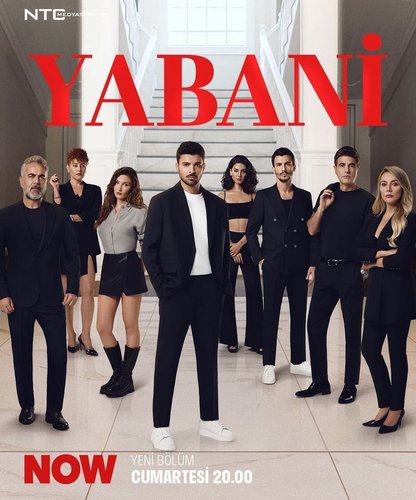 The Stranger (Yaban)