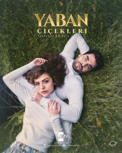 The Stranger (Yaban)