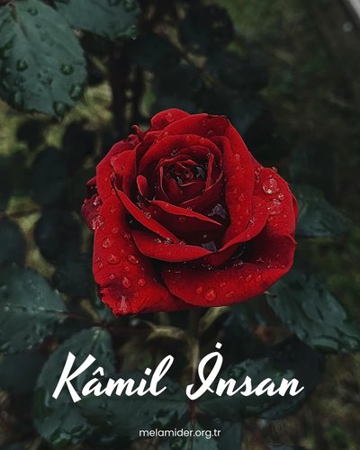 Kısaca Ramazan : Kamil İnsan