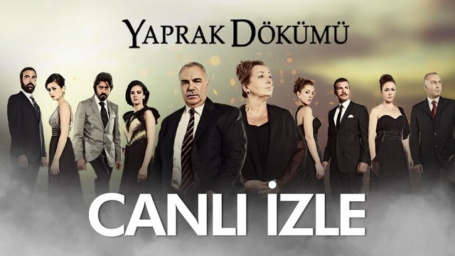 Yaprak Dökümü