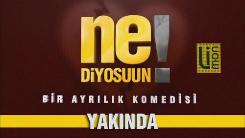 What Are You Saying (Ne Diyosuun)