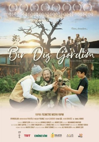 Dream, Reality, and Cinema (Düş, Gerçek, Bir de Sinema)