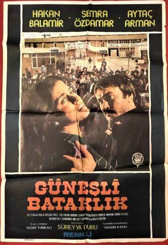 Sunny Swamp (Güneşli Bataklık)