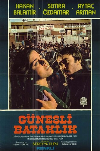 Sunny Swamp (Güneşli Bataklık)