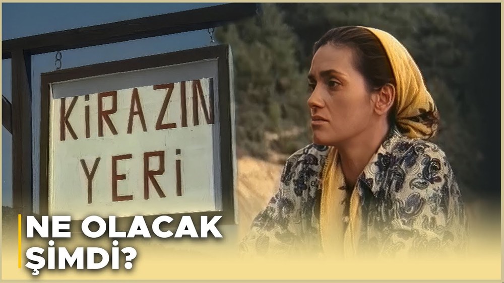 The Cherry Blossoms (Kiraz Çiçek Açıyor)