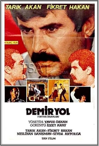 السكك الحديدية (Demiryol)
