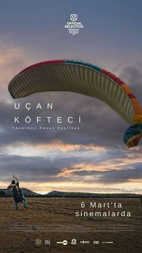 Flying Fight Arena (Uçan Fight Arena)