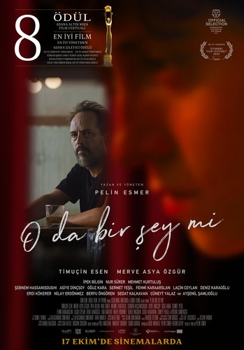 I'm Nothing (Bir Şey Değilim)