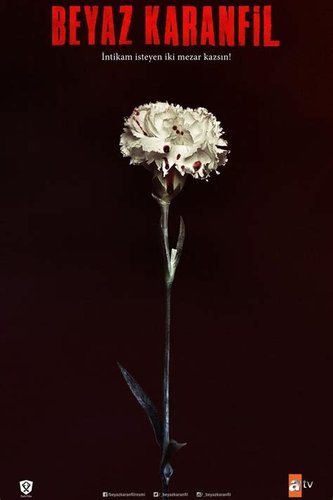 Clavel blanco (Beyaz Karanfil)