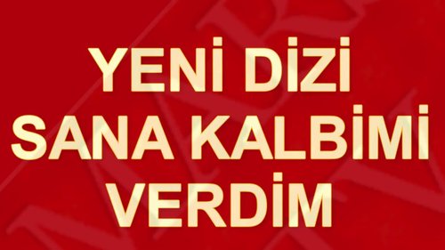 I Gave You My Heart (Sana Kalbimi Verdim)