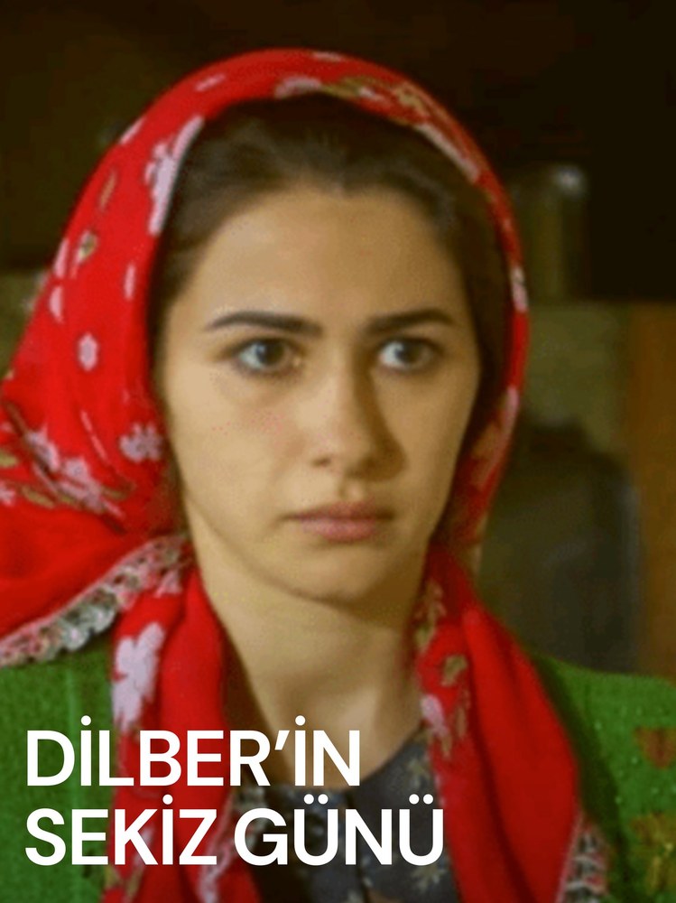 Dilber's Eight Days (Dilber'in Sekiz Günü)
