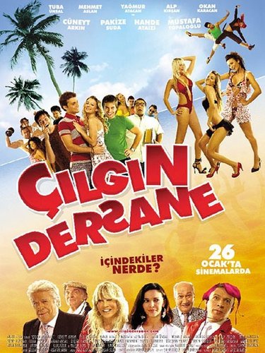 Crazy Cram School: Ada (Çılgın Dersane: Ada)